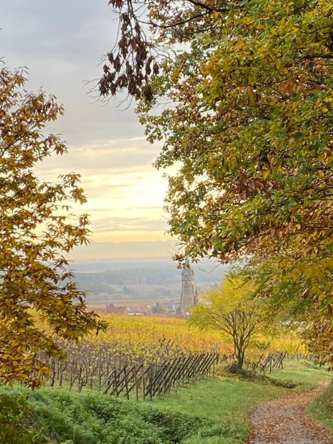 Gite Des Forgerons Dambach المظهر الخارجي الصورة